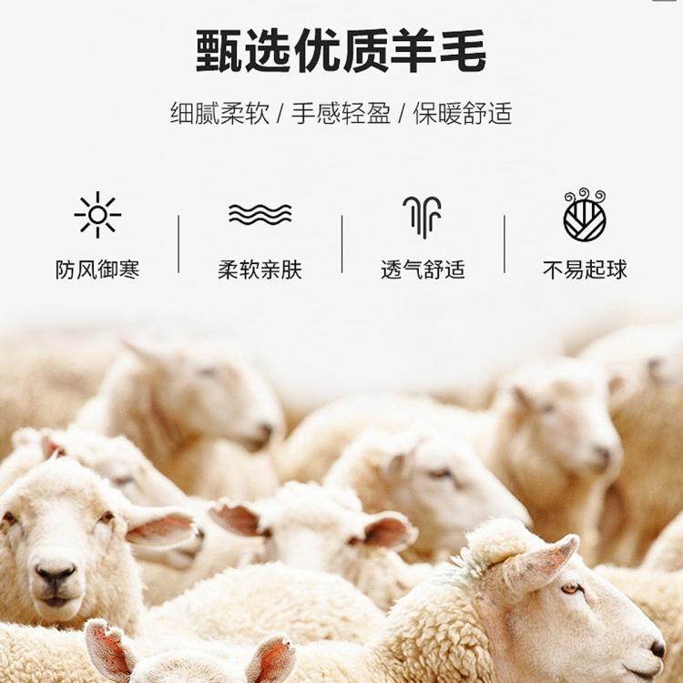 七匹狼 含【绵羊毛护膝】男式打底棉裤加绒加厚羊毛绒裤男士保暖秋裤