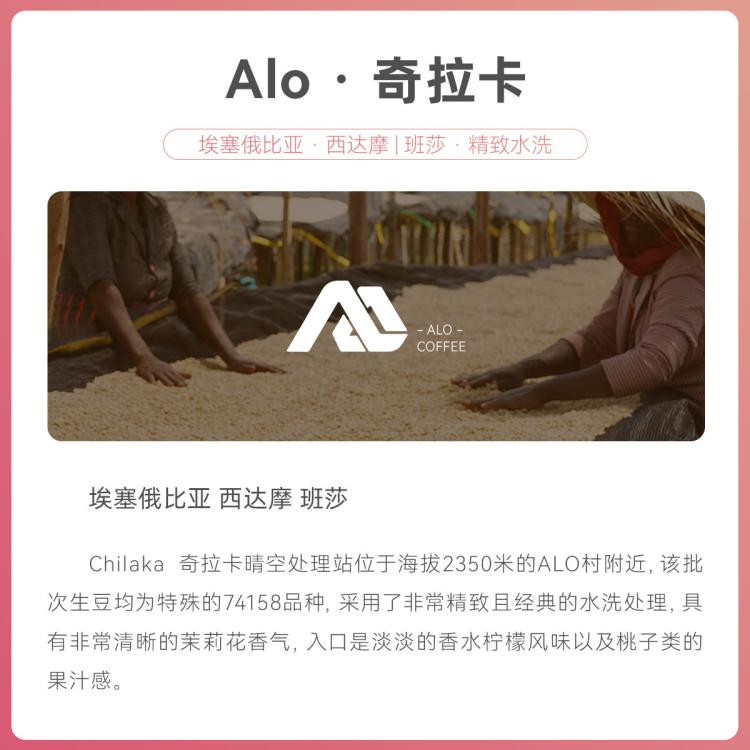SINLOY 辛鹿鲜盾保鲜埃塞俄比亚Alo奇拉卡水洗精品手冲咖啡豆112g 图 5
