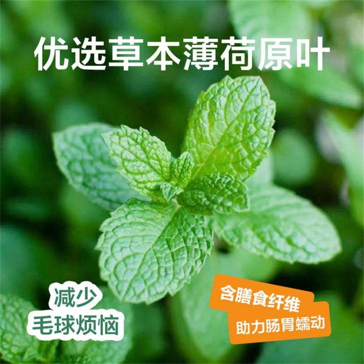 商品缩略图 4