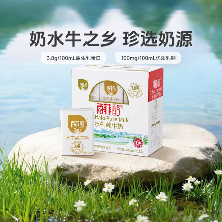 百菲酪 3.8g乳蛋白水牛纯牛奶200ml*12盒礼盒装