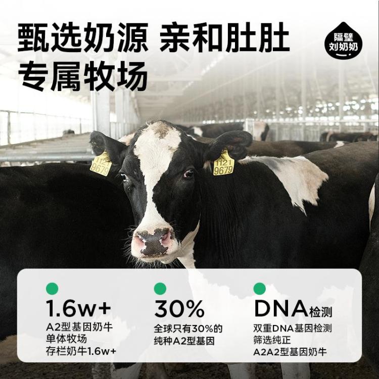 隔壁刘奶奶 A2酪蛋白儿童纯牛奶高钙早餐牛奶中秋礼盒125ml*9盒整箱 图 5