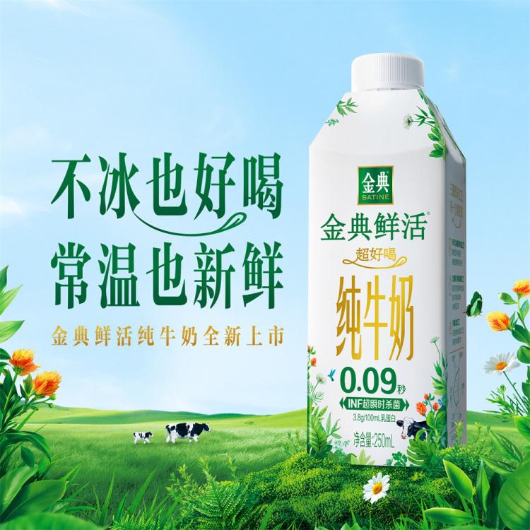 伊利yili 【9月产】金典鲜活纯牛奶250ml*10瓶春节中秋礼盒早餐营 图 3