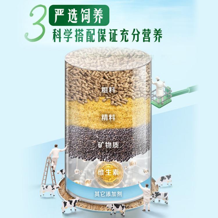 伊利yili 金典纯牛奶200ml*24盒 中秋礼 8-9月产