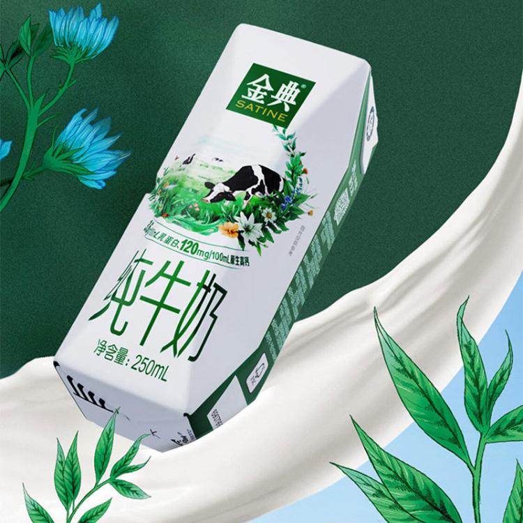伊利yili 金典纯牛奶250ml*16盒 7-8月产 中秋礼