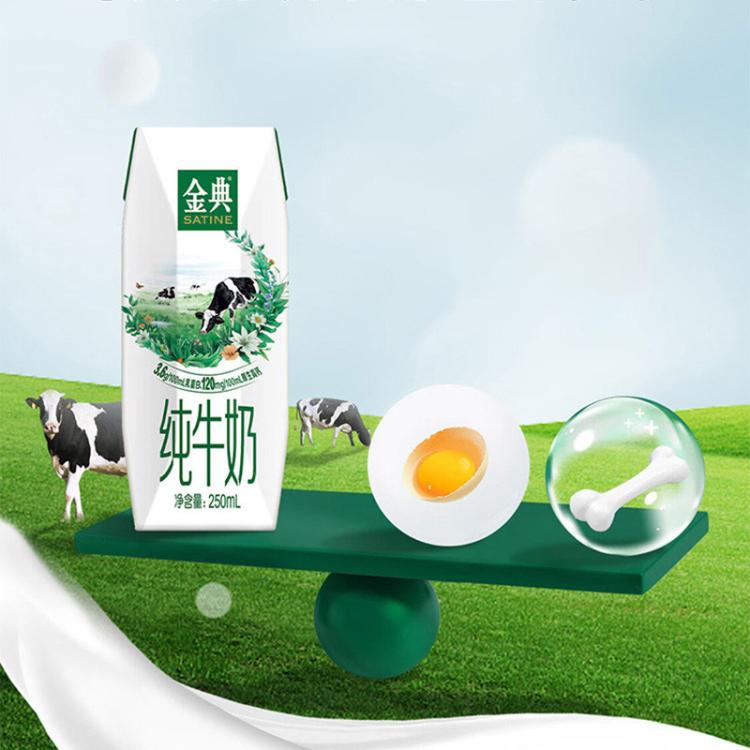 伊利yili 金典纯牛奶250ml*16盒 7-8月产 中秋礼