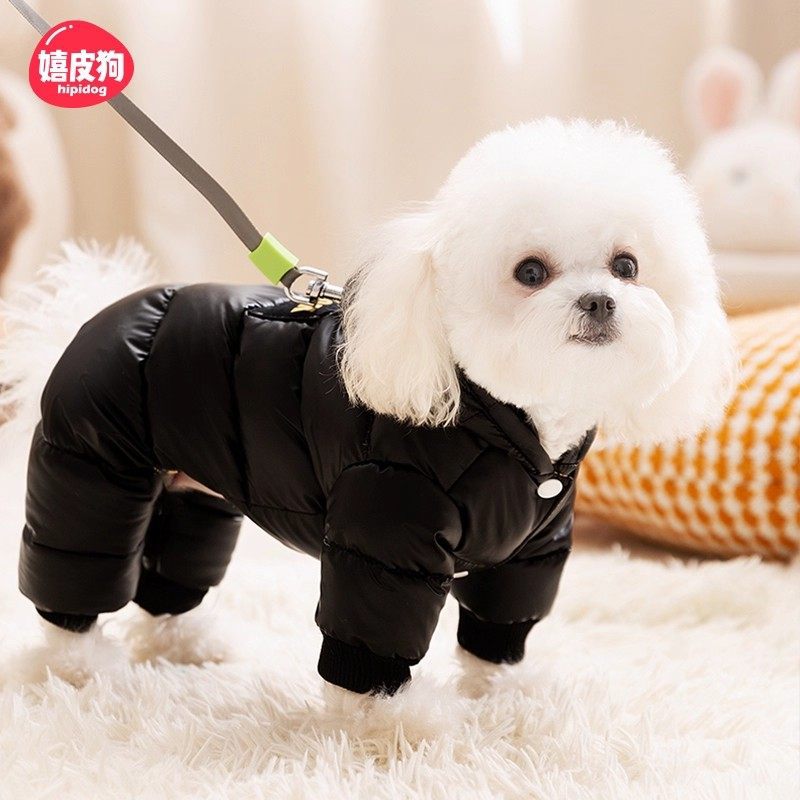 嬉皮狗 狗狗羽绒服新款冬装比熊雪纳瑞泰迪宠物小型犬冬天加厚四