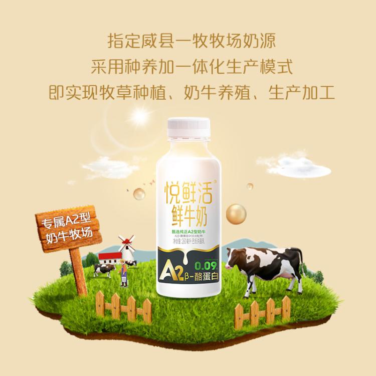 悦鲜活 悦鲜活鲜牛奶 巴氏杀菌乳A2-酪蛋白鲜牛奶450ml*5瓶