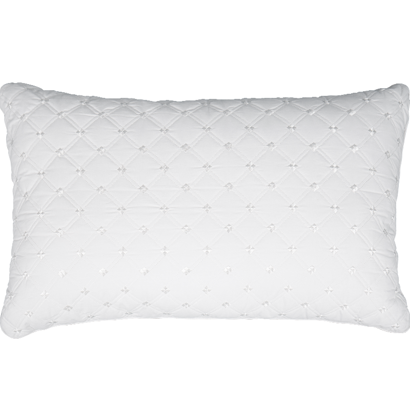 ˮ�Ǽҷ� ȫ����ˮϴ��ȫ���־�������ͷо����/����ѧ��������о������Ʒ