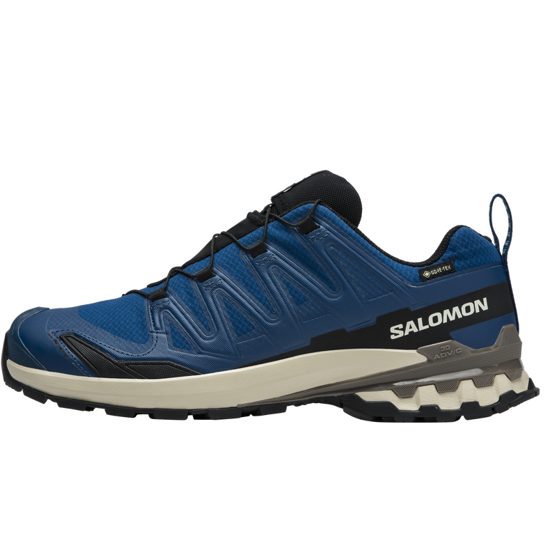 2610㡢VԱSALOMON  XA PRO 3D V9 GTX ˮͽЬ685Ԫ