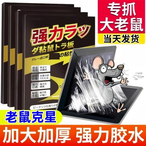 PISSA 粘鼠板加厚强力大号捕鼠神器家用厨房用强效粘贴抓捉老鼠克星 图片 2