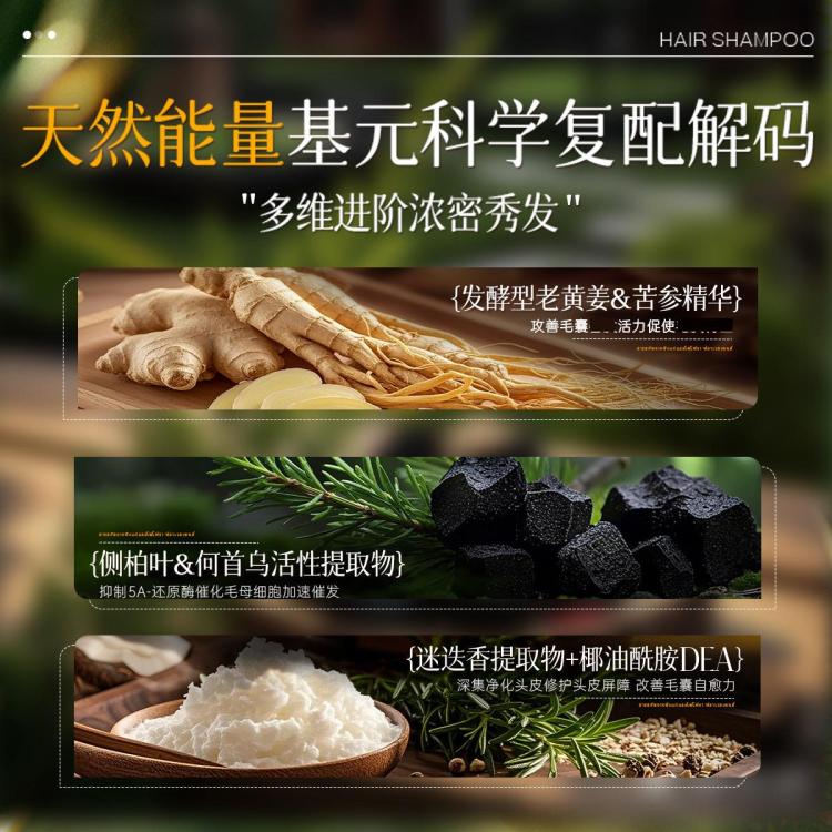 YE RENTANG 进口生姜洗发水防掉发防脱育发控油蓬松去屑止痒洗头膏洗发露女士
