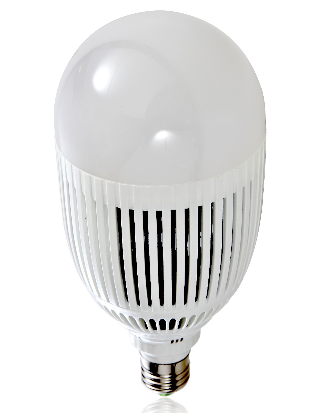 2只装24瓦大功率白光灯泡