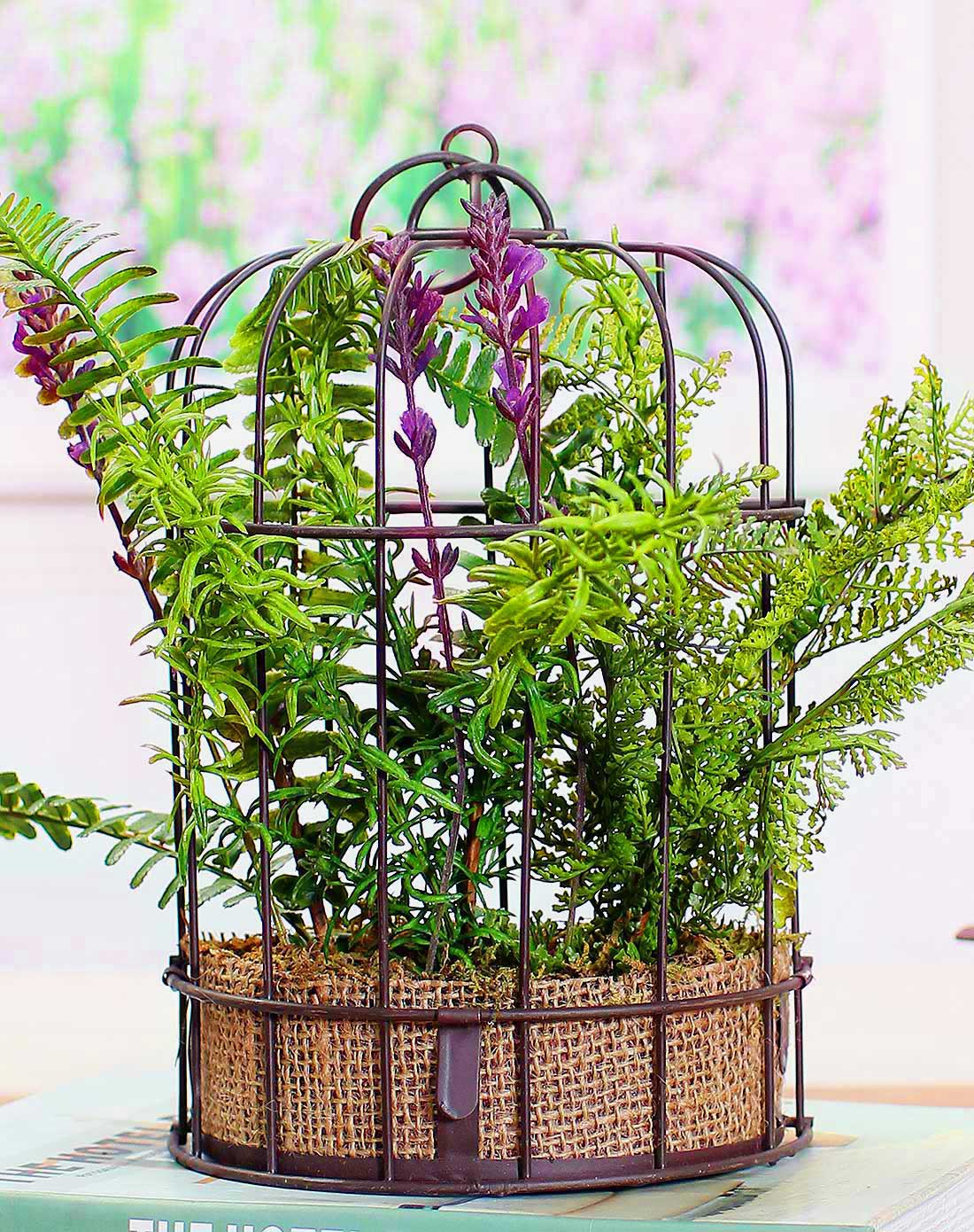 高仿真蕨类植物半圆形鸟笼绿植摆设