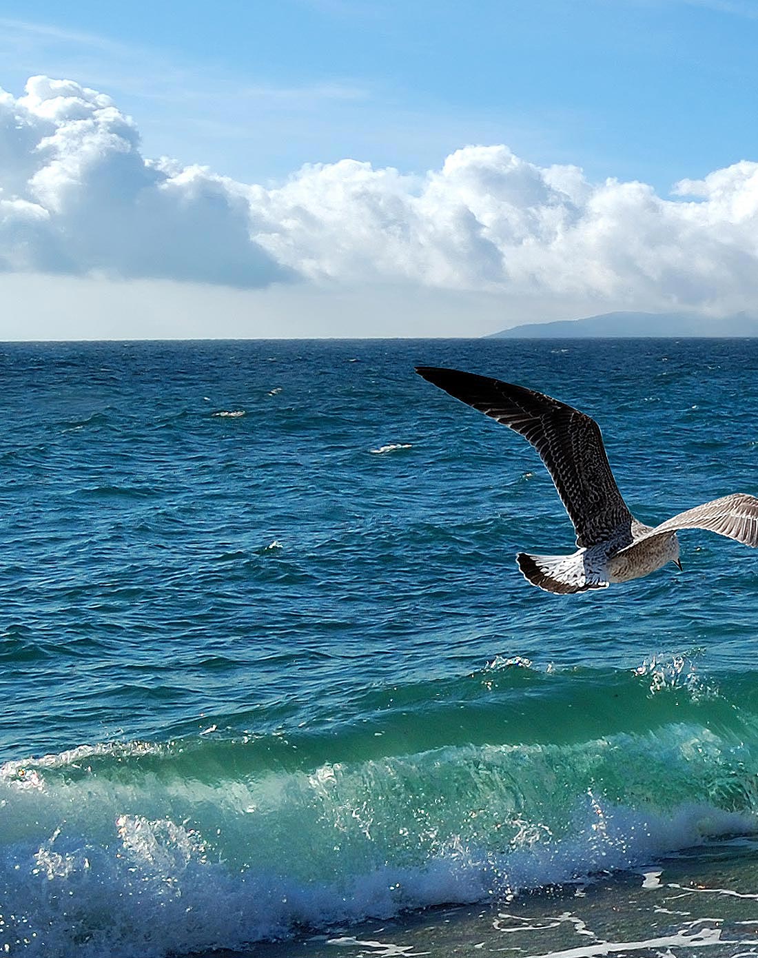 海洋系列装饰画 海纳百川