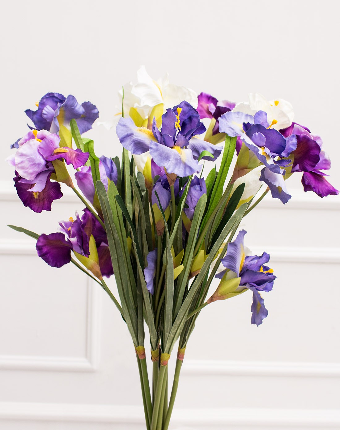 爱丽丝爱尔兰鸢尾花9支装