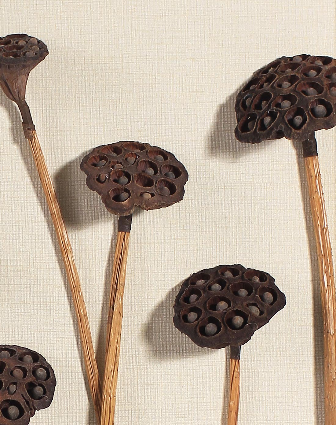 新中式高档手工立体创意画 莲蓬挂画