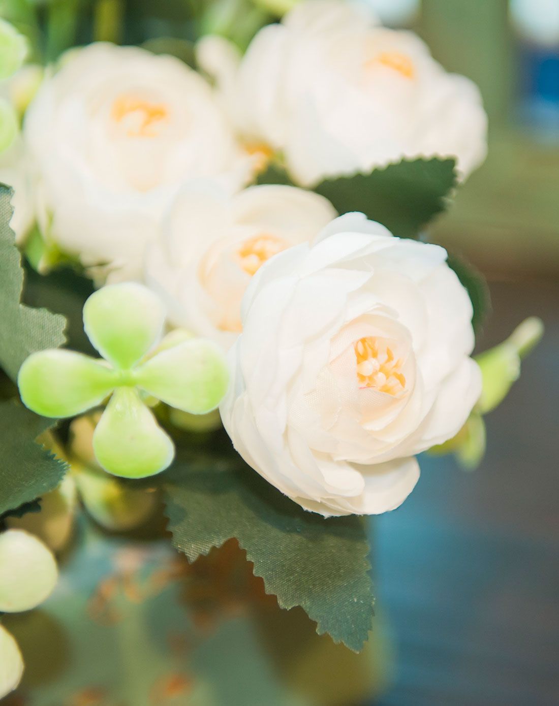 蓝羽雀6束白色山茶花整体花艺